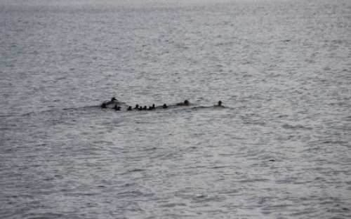 Белое море.