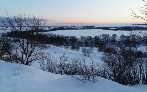 Поле в Шамордино